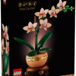 L’orchidée miniature