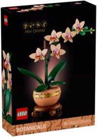 L’orchidée miniature