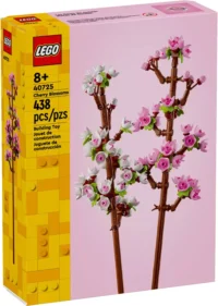 Les fleurs de cerisier